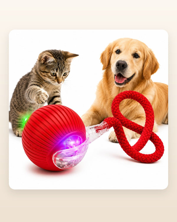 Pelota LED con cuerda para perros y gatos